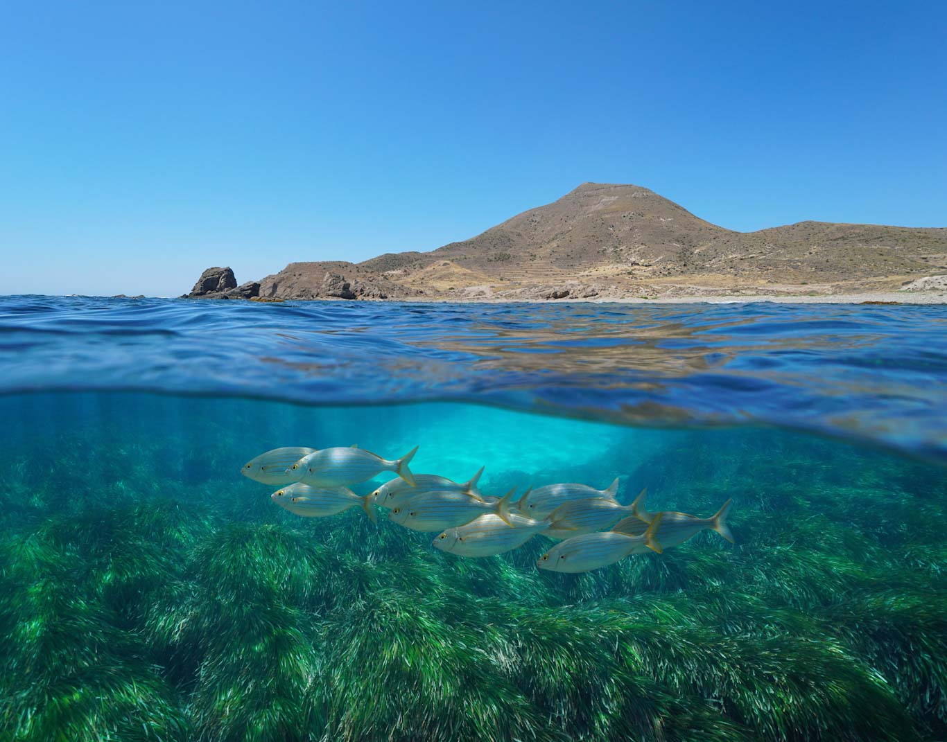 cabo-gata-nijar_2