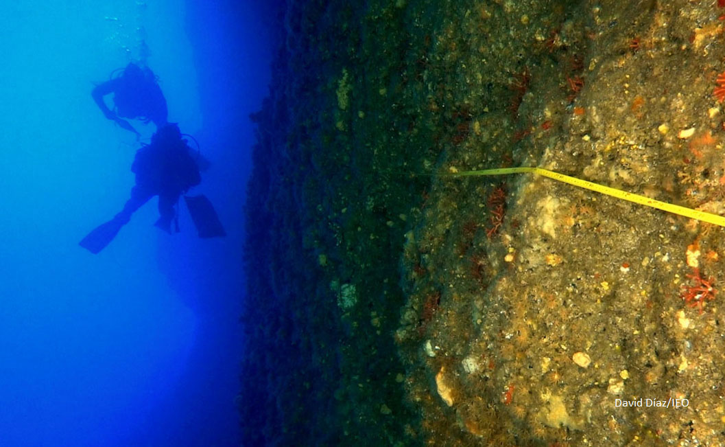 ieo-buceo-intemares_edited